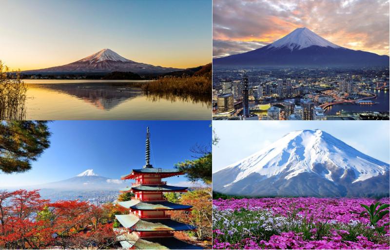 Conheça um dos Parques Florestais mais bonito do Japão