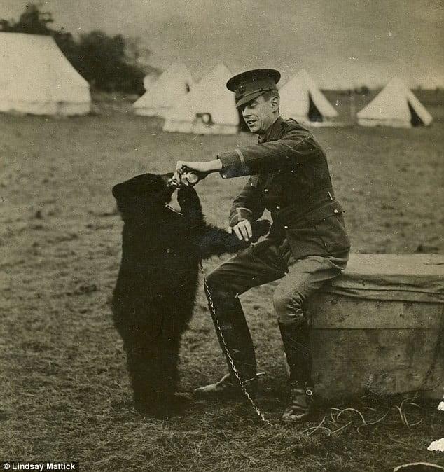 A.A. Milne: O criador que eternizou o Ursinho Pooh A.A. Milne: O criador que eternizou o Ursinho Pooh