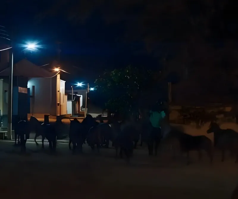 Cinema Nacional: Bacurau, ganhador do prêmio em Cannes em 2019