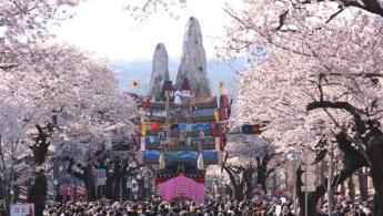 59&ordm; Festival Hitachi Sakura