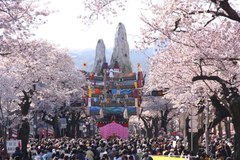 59&ordm; Festival Hitachi Sakura
