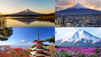 Conhe&ccedil;a um dos Parques Florestais mais bonito do Jap&atilde;o