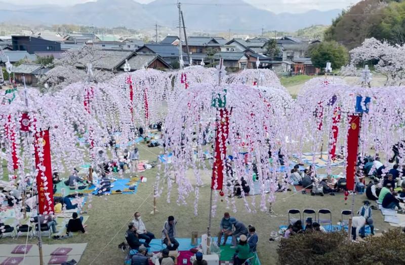 Festival da Primavera do Santu&aacute;rio Minamisanno Hie
