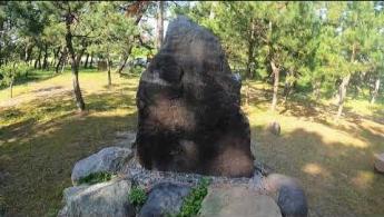 Voc&ecirc; sabe o que &eacute; um Haica? E a tradu&ccedil;&atilde;o da pedra Komai-ko Koen