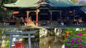Santu&aacute;rio Nezu: A tranquilidade no centro de Tokyo