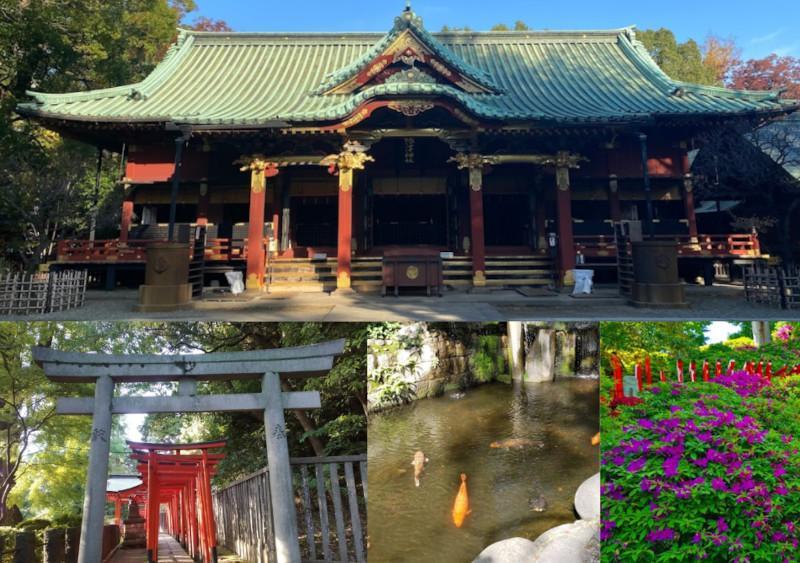 Santu&aacute;rio Nezu: A tranquilidade no centro de Tokyo
